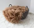 Coffee Color