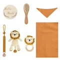 lion set C