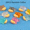 20 pcs