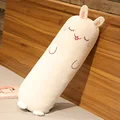white bunny