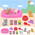 cat 11pcs