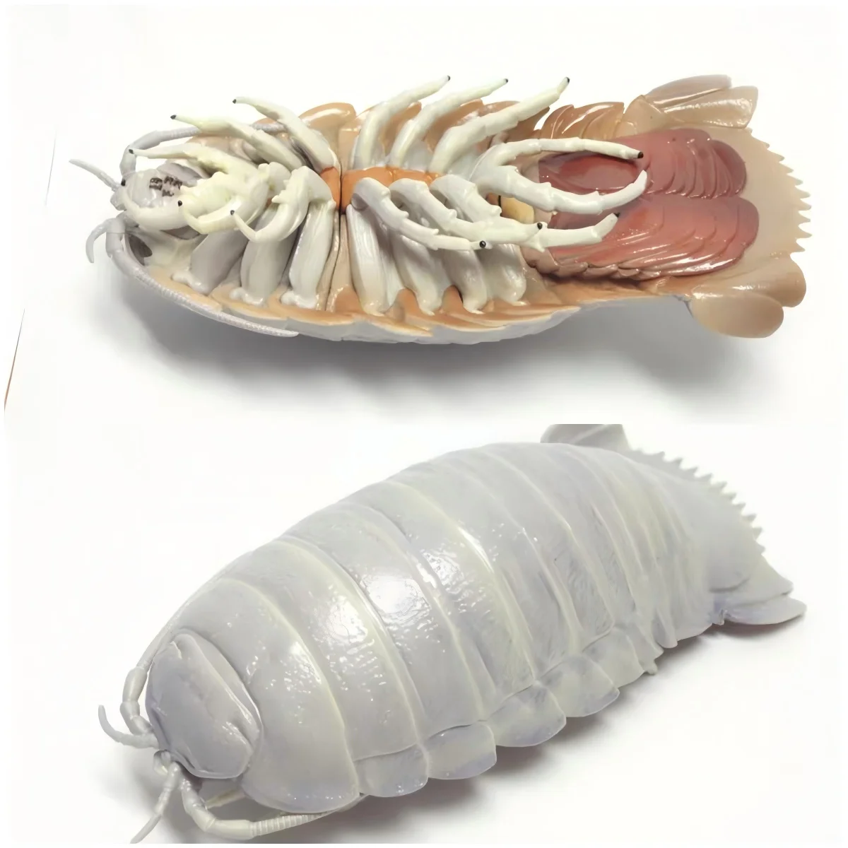IKIMON Juguetes magnéticos de animales marinos para niños - imagen 4