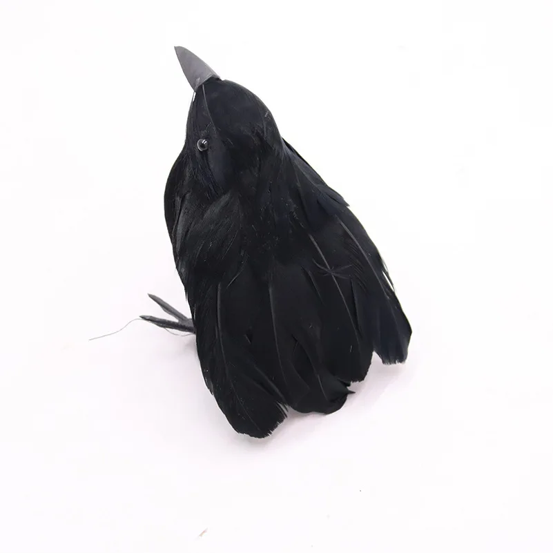 Crow C