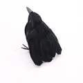 Crow C