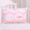 pillowcase 2-30x50cm