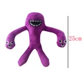25cm