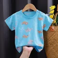 I005-orange cat