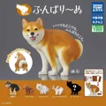 all 5 types