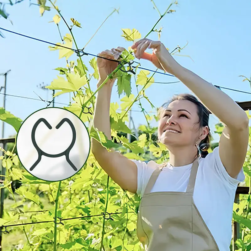 Clips de flejado de vid de jardín de plástico, anillo de hebilla incluido para plantas, gancho de vid y tomate para jardín, herramientas de soporte para plantas - imagen 2