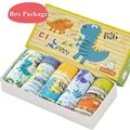 Dinosaur 1-BOX