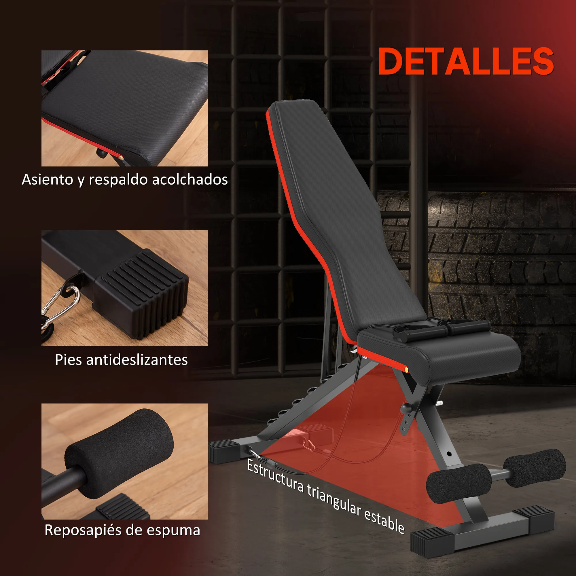 HOMCOM Banco de Musculación Plegable, Banco de Pesas, Respaldo y Asiento Ajustables, Extensión de Pierna, Cojín de Predicador y Banda de Resistencia, para Entrenamiento Completo, Gimnasio en Casa - imagen 5