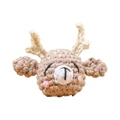 for CUTE elk
