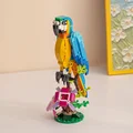 parrot