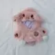 piggy