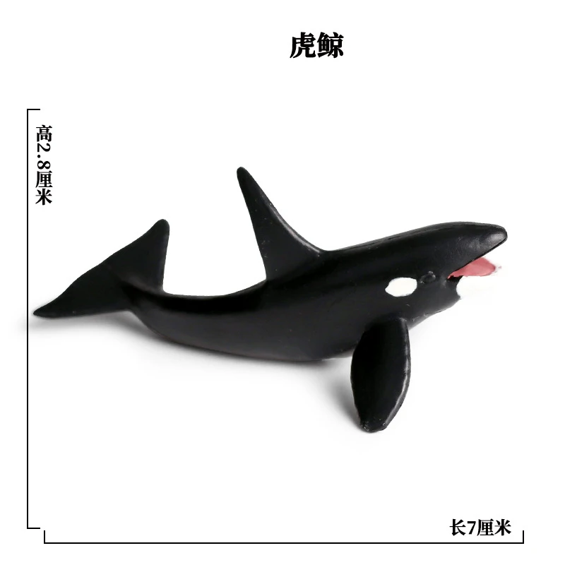 SEA LIFE - 25