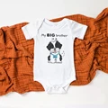 SB82-SRPWH-