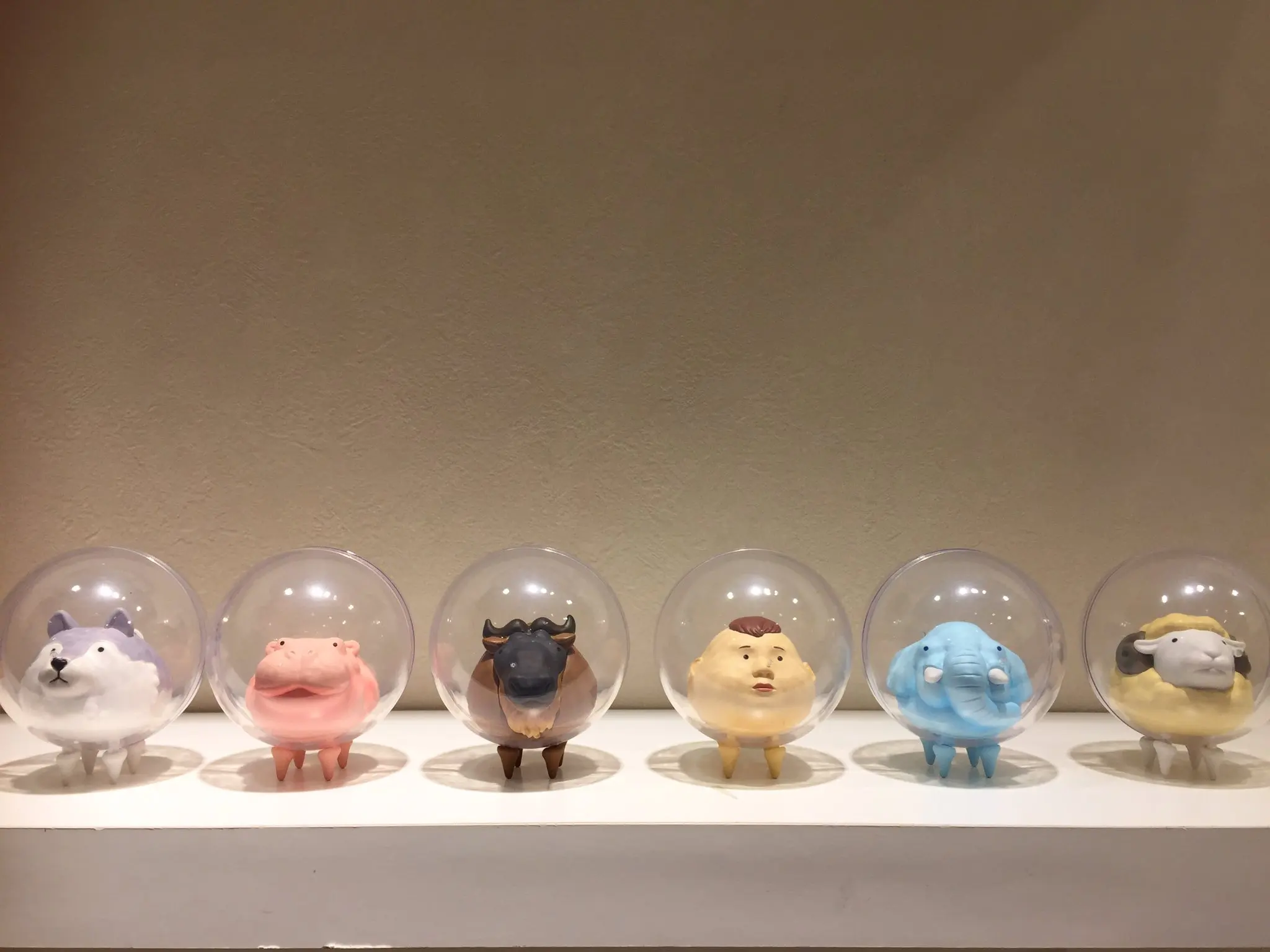 Bushiroad creativo TAMA-KYU divertido kaiwaii lobo oveja elefante hipopótamo salvaje Ningen vivir en una cápsula juguetes figuras gashapon - imagen 2