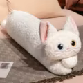 whtie cat