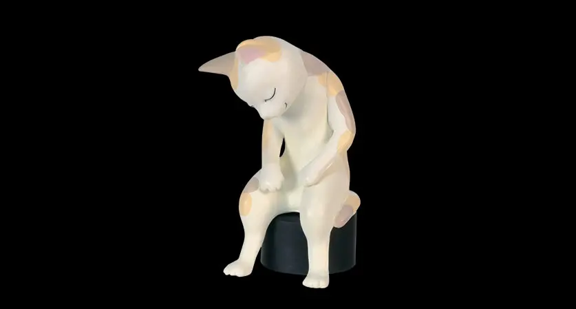calico cat