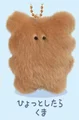 Maybe a bear