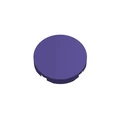 800pcs purple