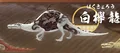 White Keyaki Dragon
