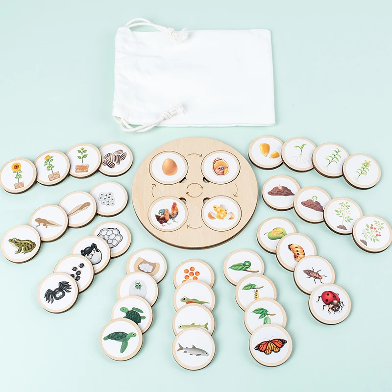A set