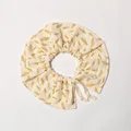 Corn