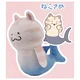 Cat shark