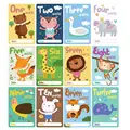 monthly card-14-12pc