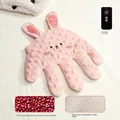 Pink Rabbit