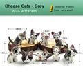 9pcs Cheese Grey