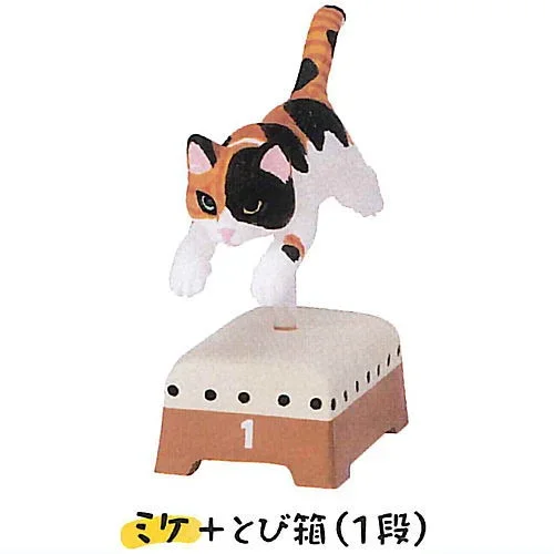 calico cat jump box