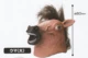 A  big horse hood