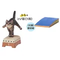 tabby cat jump box