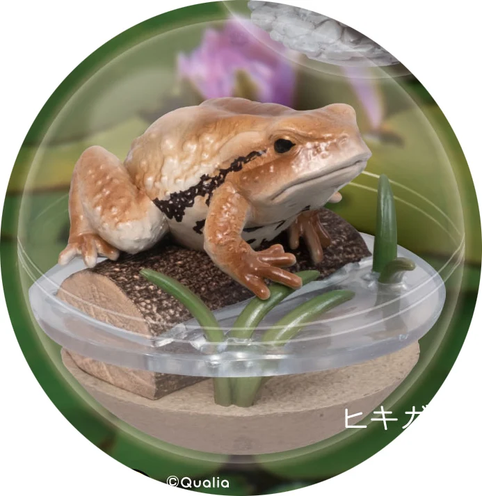 toad