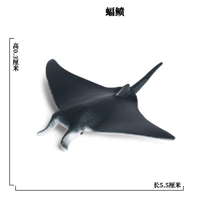 SEA LIFE - 24