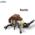 beetle