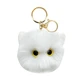 white cat 