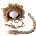 Caqui