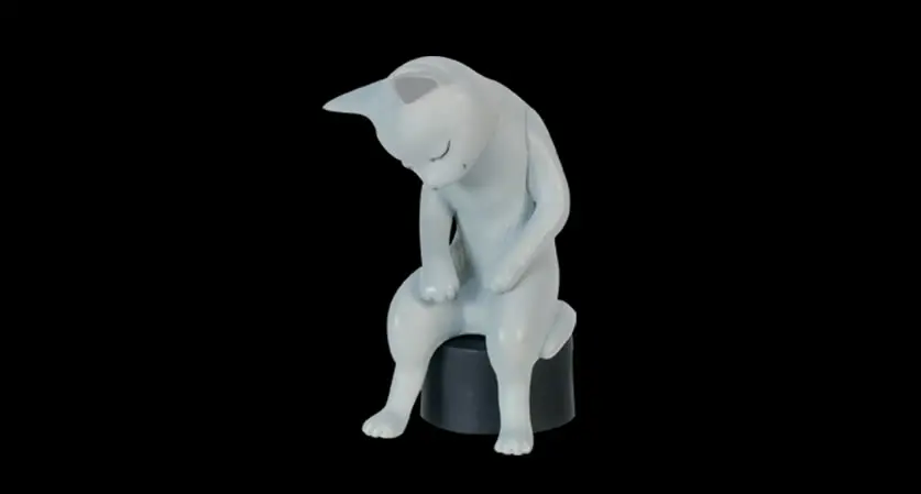gray cat