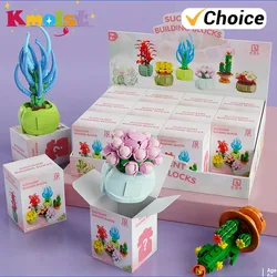 Caja sorpresa bloques de construcción con flores suculentas educativos