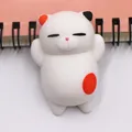 Coloful cat