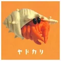 Hermit Crab