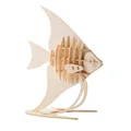 Angelfish