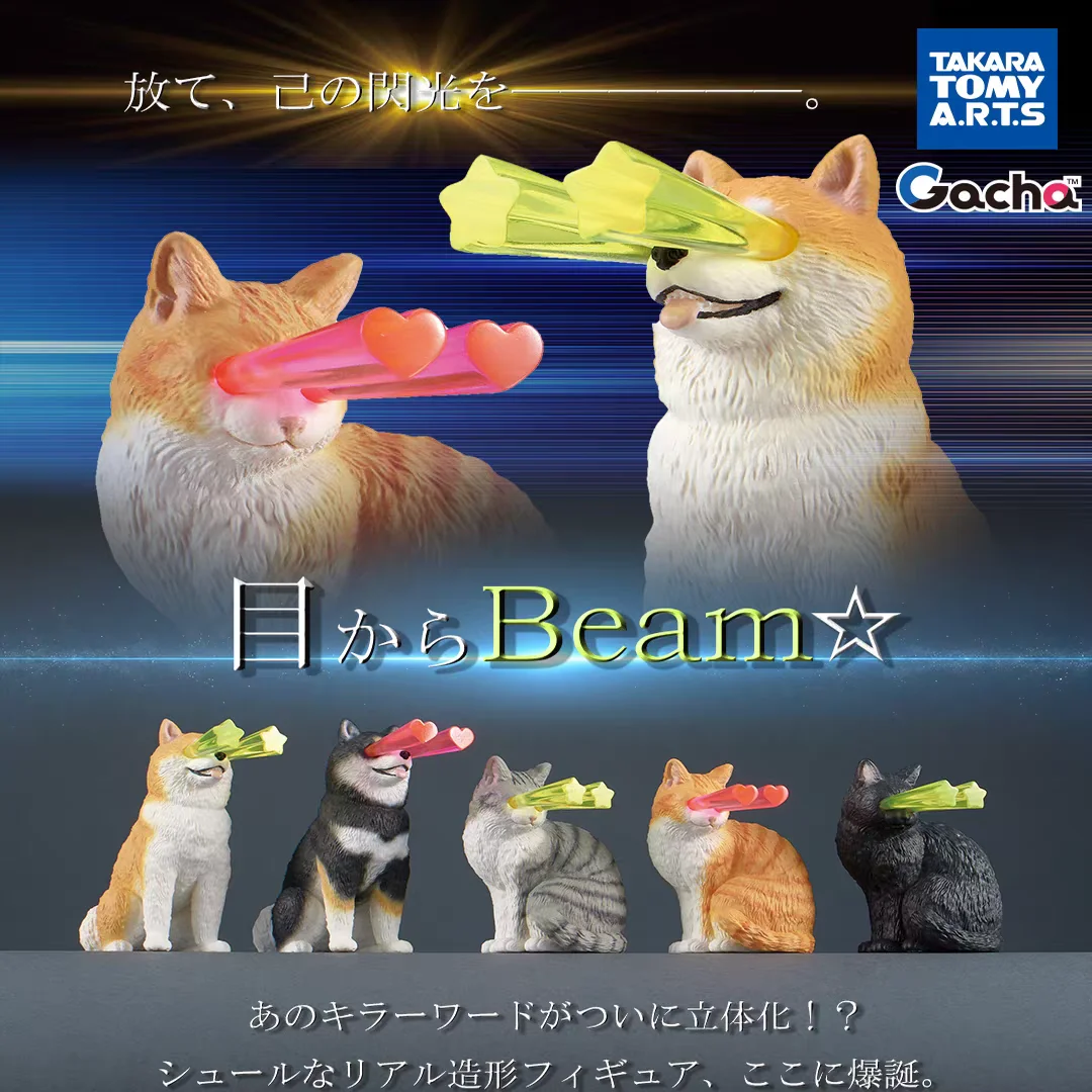 TakaraTomyArts cápsula juguetes lindo kawaii Eye Beam ★   Stare de la muerte Shiba Inu naranja gris tabby neko gato gatito perro figuras sentadas