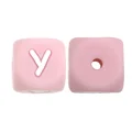 10pcs Y