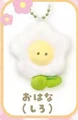 flower white