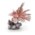 Red Lionfish