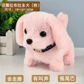 Labrador
